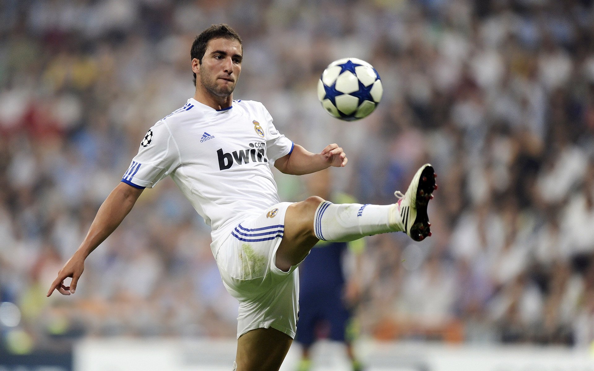 伊朗国家队获国际足联表彰：“拓荒者精神”，伊朗足协官网